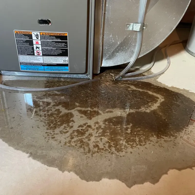 Appliance Leak Cleanup in Thorntown, IN